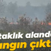 Bataklık alanda yangın çıktı!
