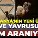 Ormanya'nın yeni üyesi deve yavrusuna isim aranıyor