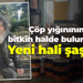 Çöp yığınının içinde bitkin halde bulunmuştu... Yeni hali şaşırttı!