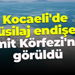 Kocaeli'de müsilaj endişesi! İzmit Körfezi'nde görüldü