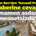 Memur-Sen'den "Kocaeli Projesi" haberine cevap! "Tamamen asılsız ve mesnetsizdir"