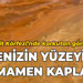 İzmit Körfezi’nde korkutan görüntü; Denizin yüzeyini tamamen kapladı!