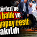 İzmit Körfezi'ne 6 bin balık ve 100 yapay resif bırakıldı