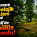 1.Derece Arkeolojik Sit Alanı ilan edildi; Kocaeli’de tümülüs bulundu!