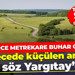 Binlerce metrekare buhar oldu! Bir gecede küçülen arazide son söz Yargıtay’dan...
