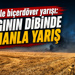 Alevlerle biçerdöver yarışı! Yangının dibinde zamanla yarış