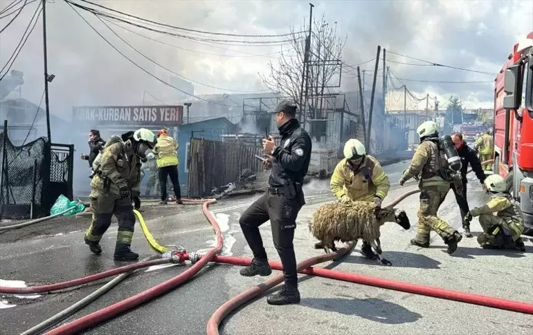 Kimya deposunda korkutan yangın! Otomobiller küle döndü - Resim : 3