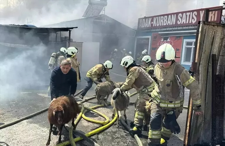 Kimya deposunda korkutan yangın! Otomobiller küle döndü - Resim : 1