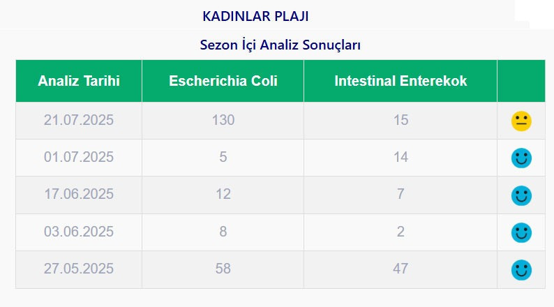 Sıcak havadan kaçıp denize girenler dikkat! Kocaeli’deki o plajlar kirli çıktı - Resim : 3