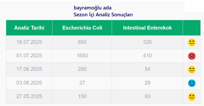 Sıcak havadan kaçıp denize girenler dikkat! Kocaeli’deki o plajlar kirli çıktı - Resim : 4