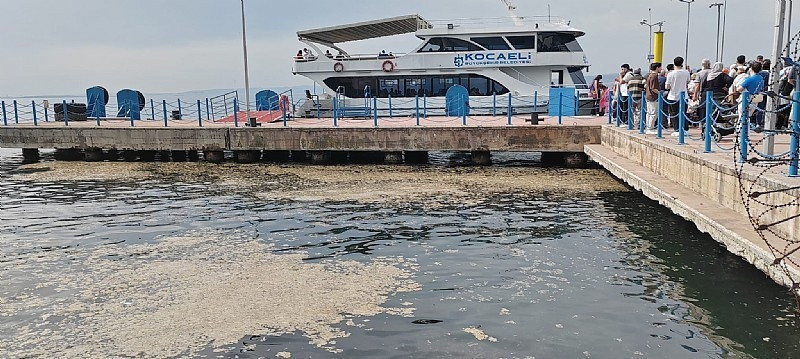 H. Aytekin Ergül’den müsilaj değerlendirmesi: Marmara Denizi’nde müsilaj birikimi devasa boyutlarda - Resim : 1