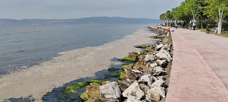 H. Aytekin Ergül’den müsilaj değerlendirmesi: Marmara Denizi’nde müsilaj birikimi devasa boyutlarda - Resim : 2
