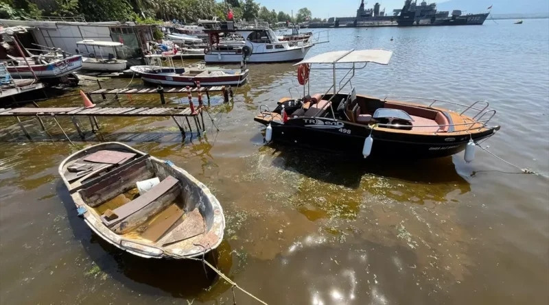 Aykan Karademir'den Marmara Denizi değerlendirmesi: Azot ve fosforun sıfıra inmesi mümkün değil! - Resim : 2