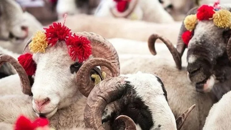KURBAN BAYRAMI TEBRİK MESAJLRI 2025 | Resimli, Değişik, Duygusal Bayram Kutlama Mesajları - Resim: 2