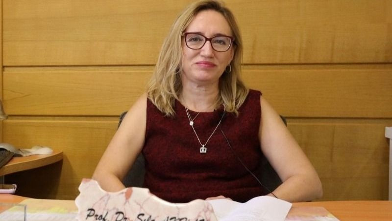 Son günlerde salgın yeniden tırmanışta: Koronavirüs geri mi dönüyor? - Resim : 1