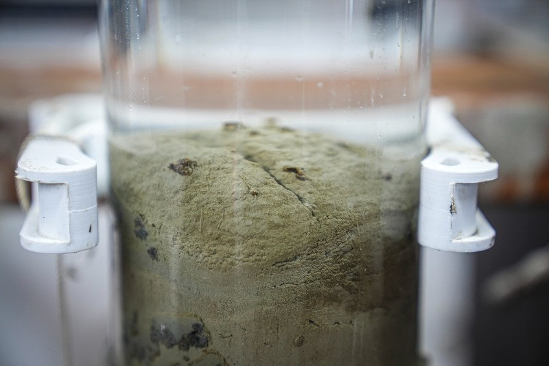 Marmara Denizi kirlenmeye devam ediyor: Metal ve plastik yoğunluğu yükseliyor! - Resim : 2