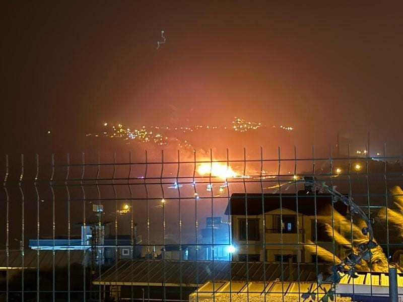 Zeytinlik alan alevlere teslim oldu! - Resim : 2