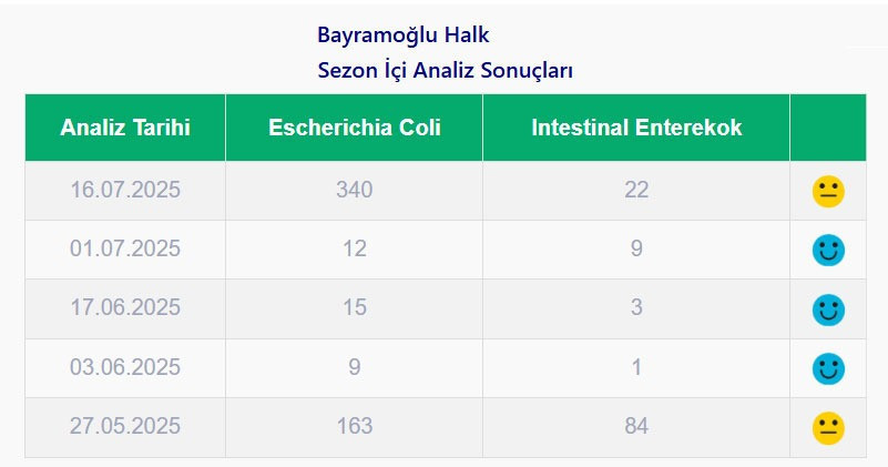 Sıcak havadan kaçıp denize girenler dikkat! Kocaeli’deki o plajlar kirli çıktı - Resim : 2