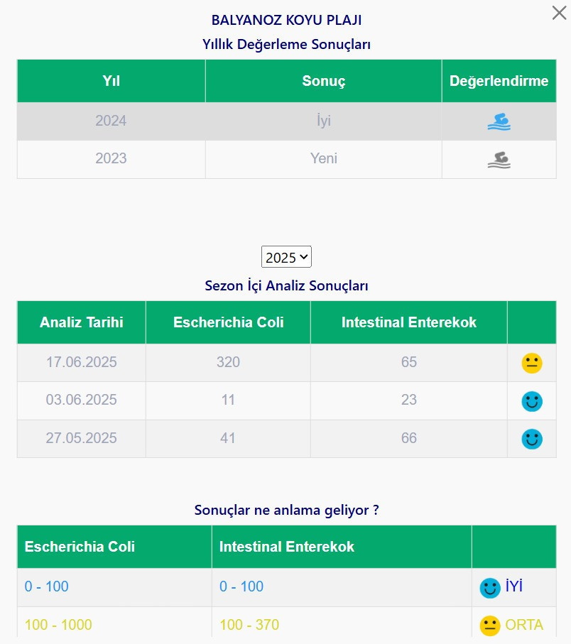 Kocaeli’nin iki plajı hala kirli! - Resim : 1