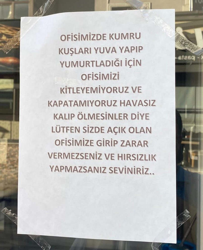 Yuva yapan kumrular için dükkanını kilitlemeyen Kocaelili esnaf: Hırsızlık yapmazsanız seviniriz! - Resim : 2