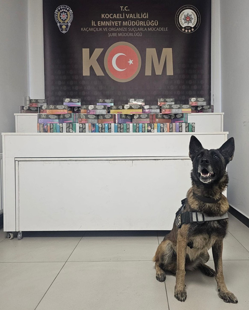 Binlerce kaçak sigara ele geçirildi! - Resim : 2