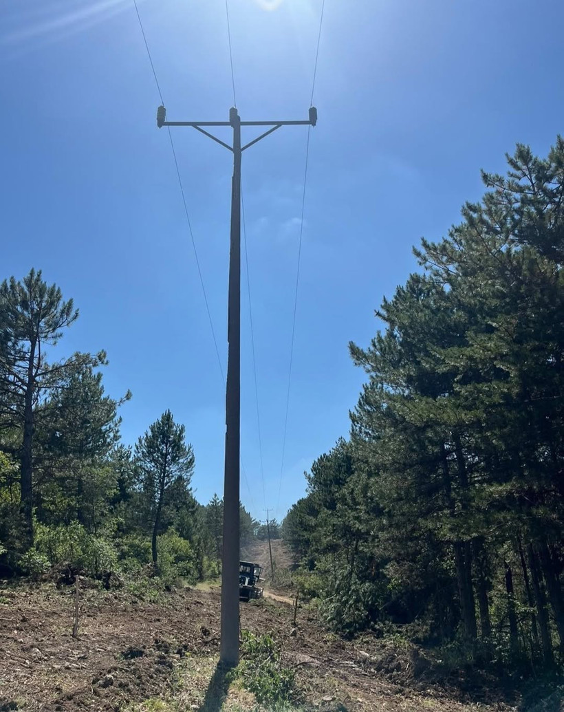 Kocaeli’de 455 bin 900 metrekare alan: TEİAŞ’tan dev ağaç kesme ihalesi - Resim : 1