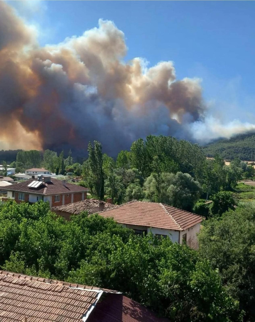 Sakarya'dan sıçrayan orman yangını kül etti! - Resim: 4