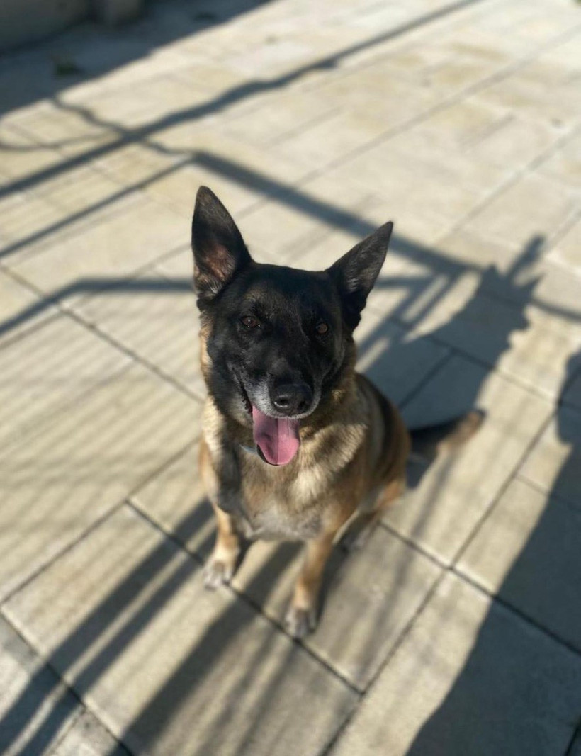 Polis tarafından durdurulan aracın gizli bölmesinden 102 gram kokain çıktı! - Resim : 1