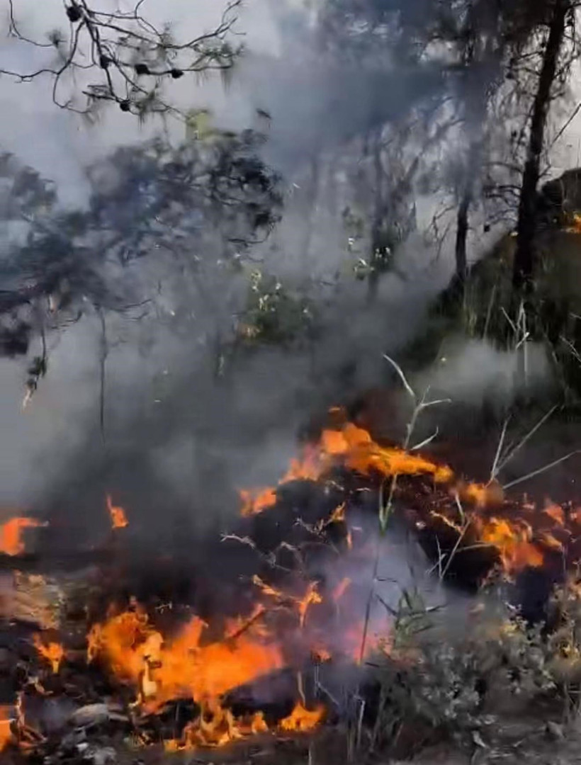 Alevlere elindeki pet şişeyle direndi! - Resim : 1