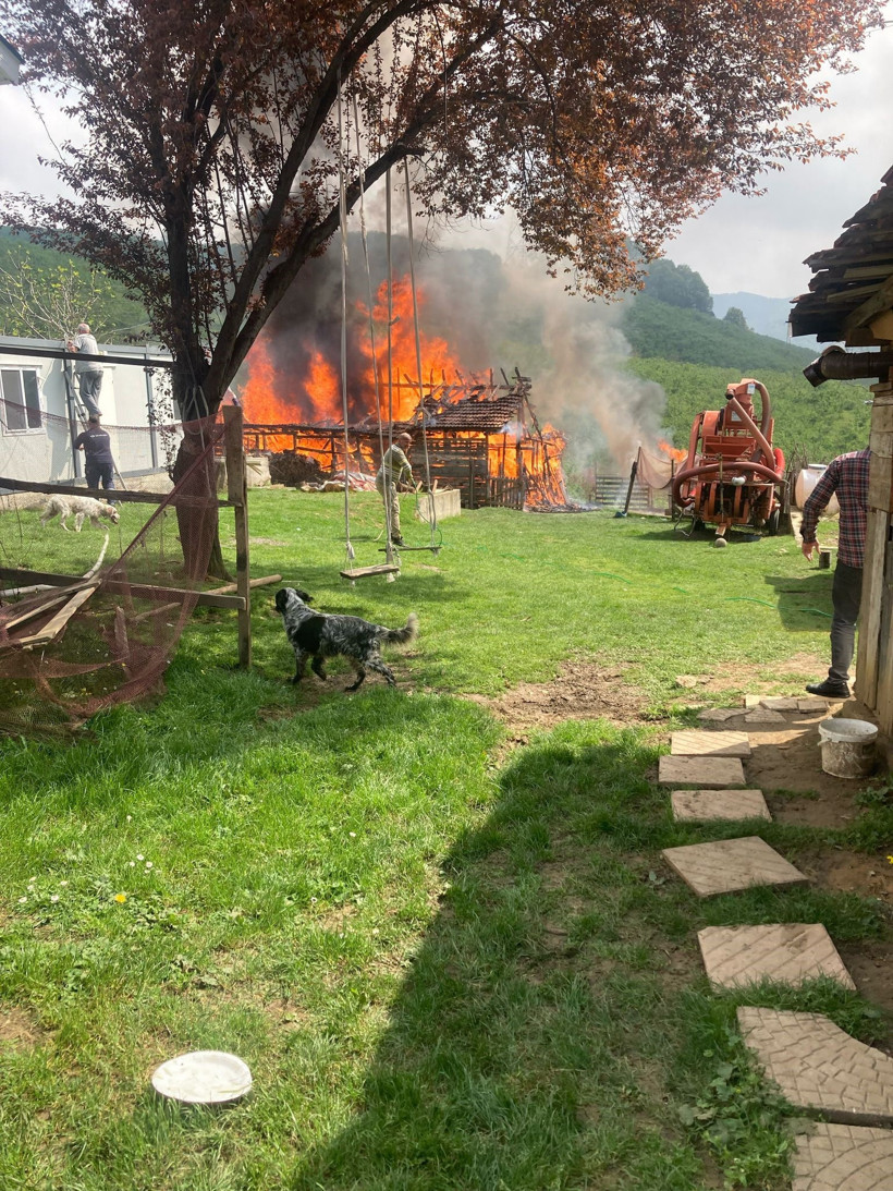 Yangından geriye yalnızca küller kaldı! - Resim : 1