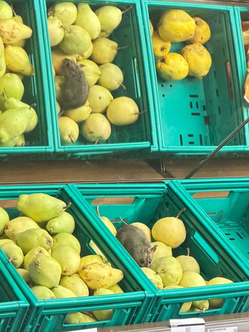Gıda güvenliği? Zincir marketten gelen görüntüler mide bulandırdı! - Resim : 1