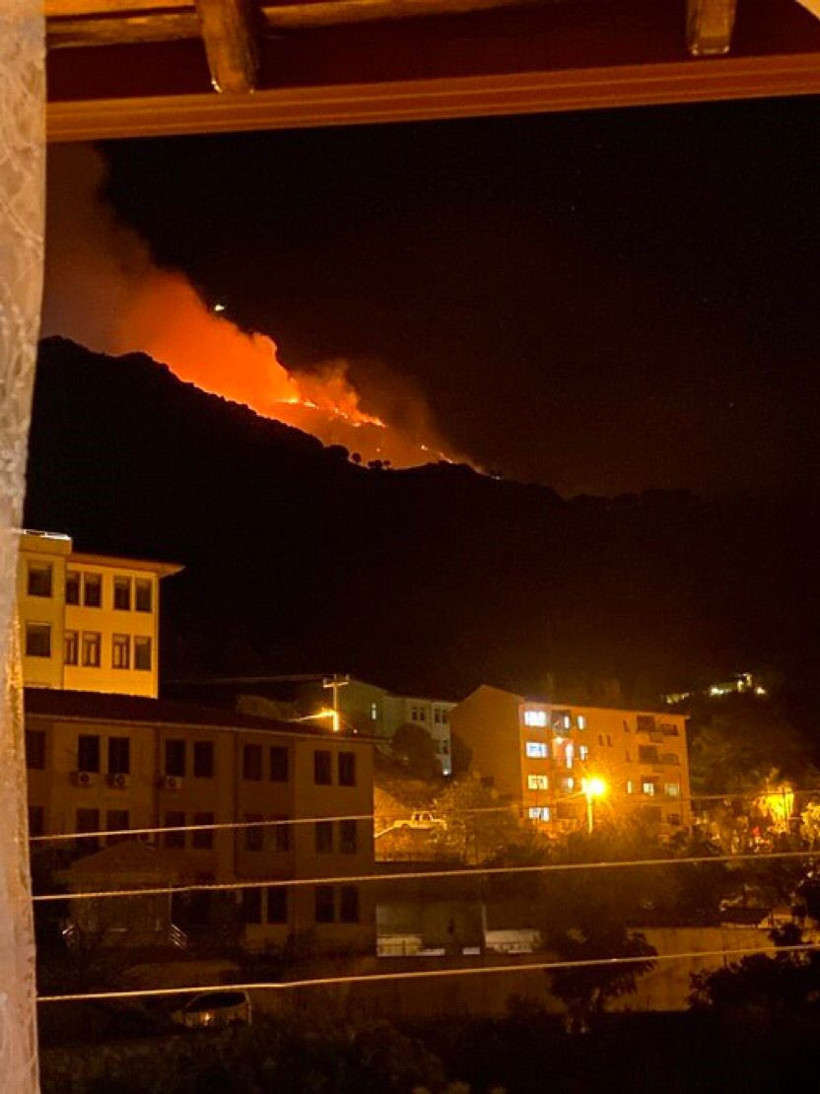 Marmara Adası'nda yangın çıktı! - Resim : 2