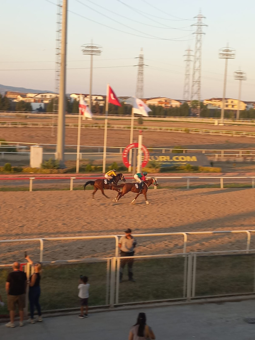 Bal Porsuğu ve algıların yıkılışı - Resim : 6