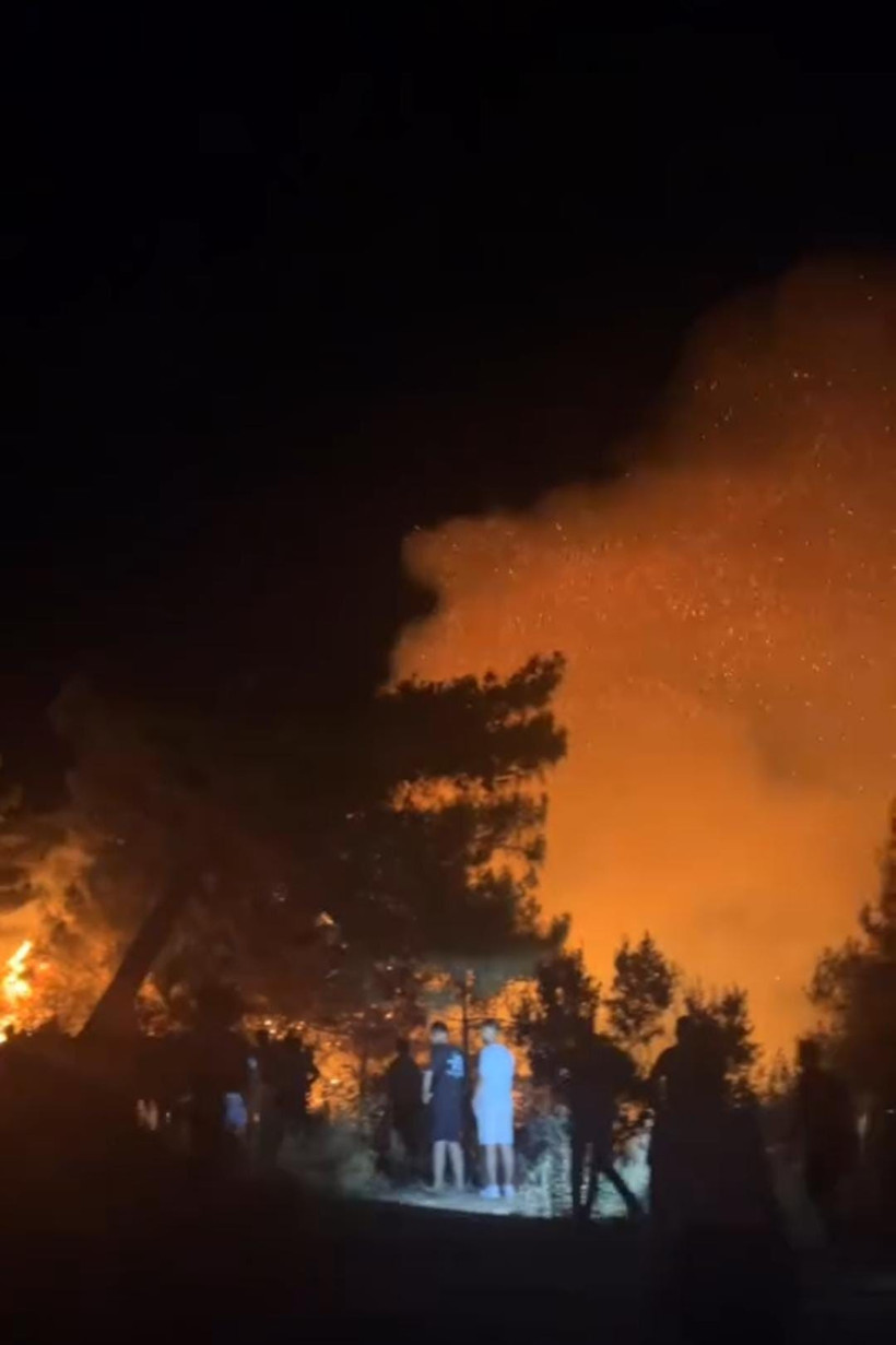 Hatay'da orman yangını! Ekipler seferber oldu - Resim : 2