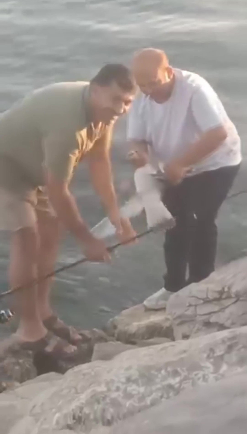 Bu işte bir terslik var... Oltaya takılan şey görenleri hayrete düşürdü - Resim : 1