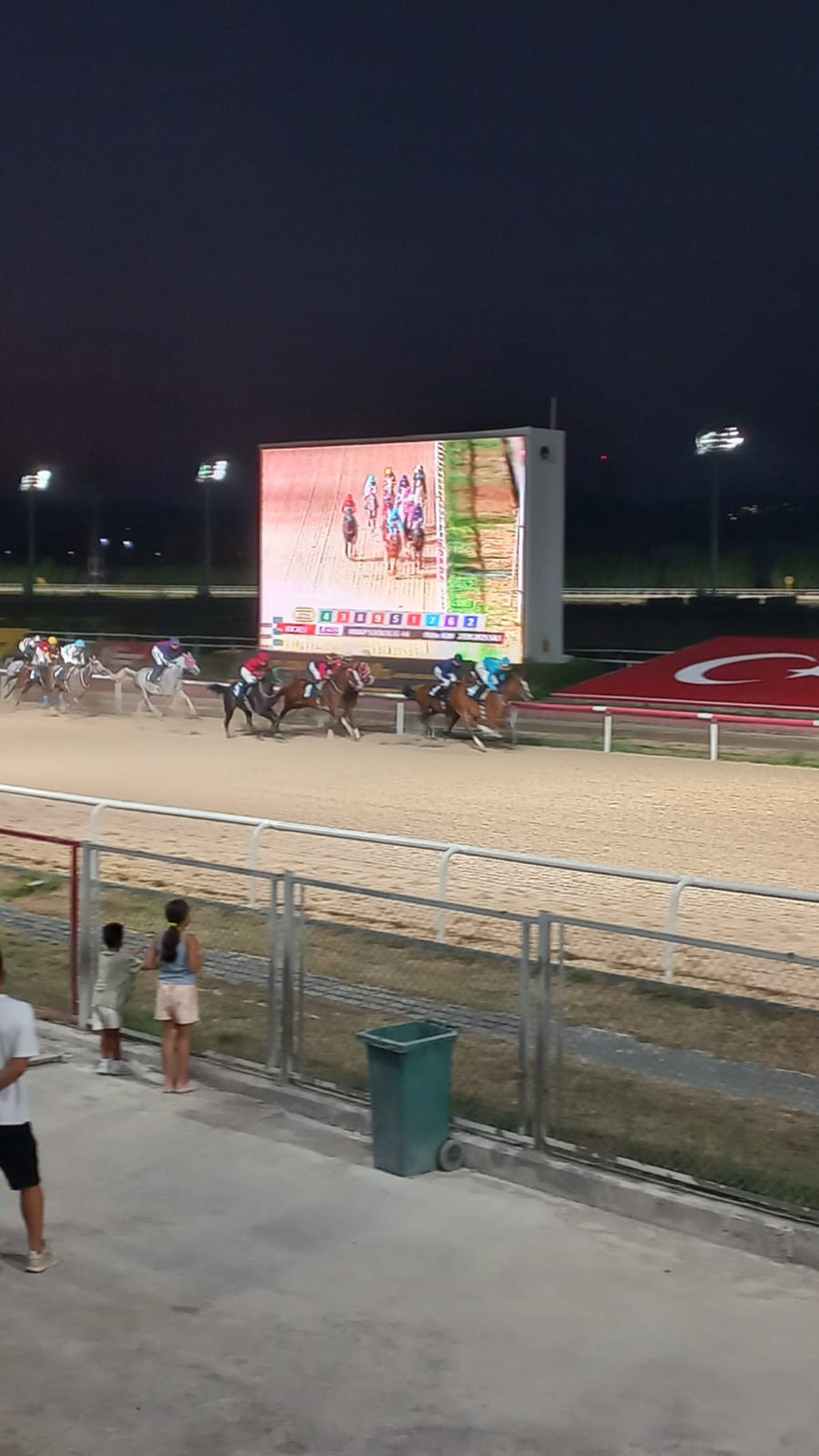 Bal Porsuğu ve algıların yıkılışı - Resim : 7