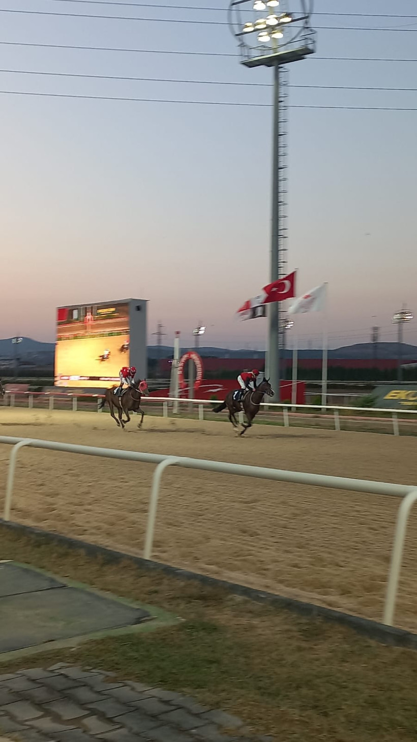 Bal Porsuğu ve algıların yıkılışı - Resim : 8