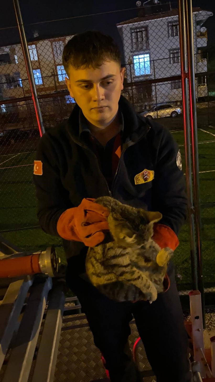 İtfaiyeden kedi kurtarma operasyonu - Resim : 3