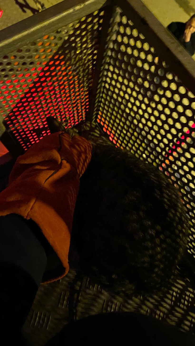 İtfaiyeden kedi kurtarma operasyonu - Resim : 2