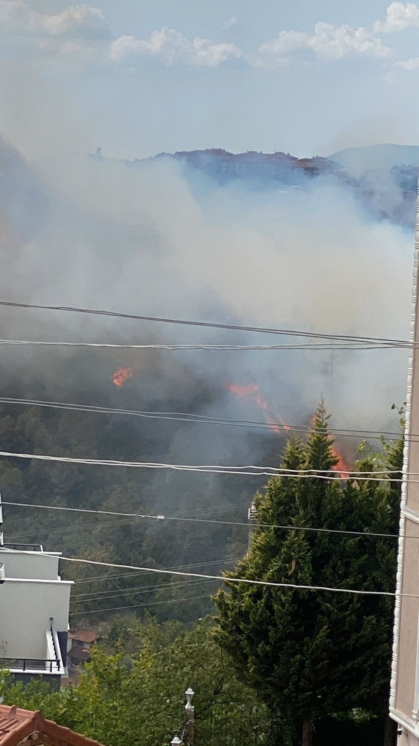 Kocaeli’de yine orman yangını çıktı - Resim : 6