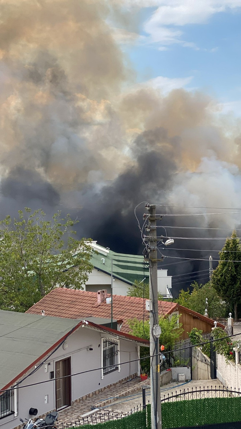 Kocaeli’de yine orman yangını çıktı - Resim : 7