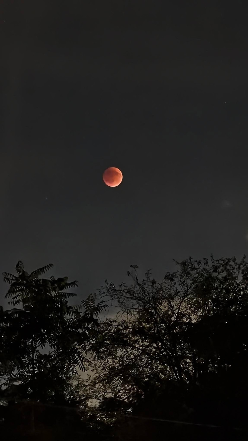 Yılın en görkemli doğa olayı Kocaeli'de ilgiyle izlendi - Resim : 3