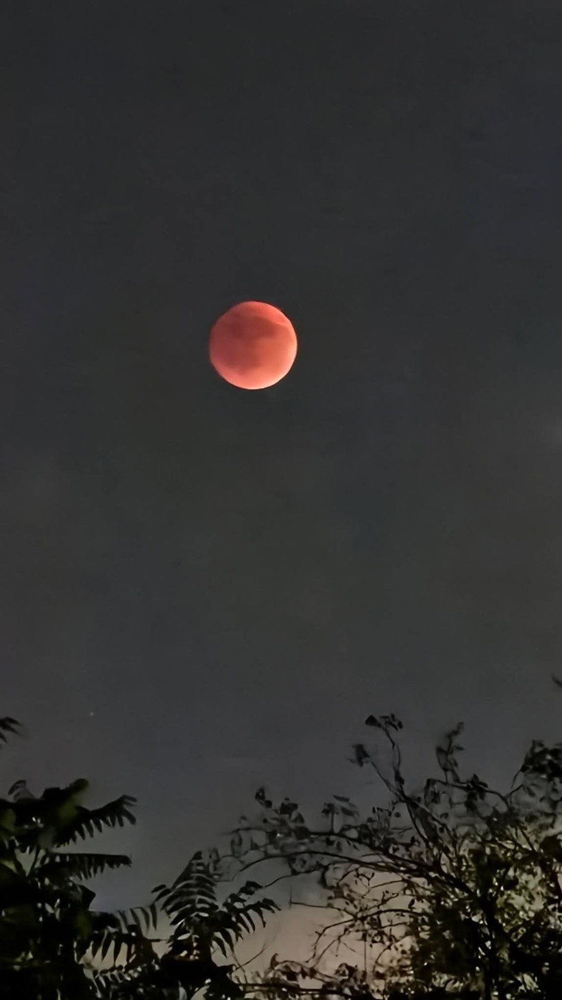 Yılın en görkemli doğa olayı Kocaeli'de ilgiyle izlendi - Resim : 2