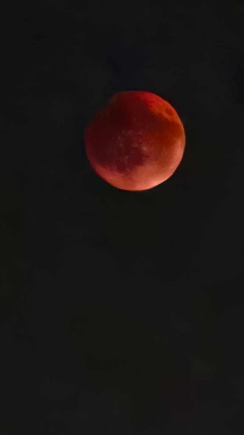 Yılın en görkemli doğa olayı Kocaeli'de ilgiyle izlendi - Resim : 1