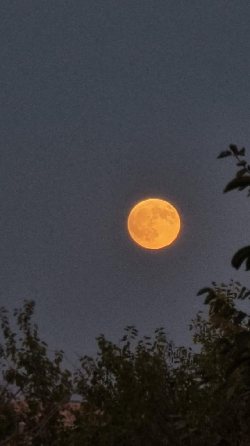 ‘Kanlı Ay’ görsel şölen sundu - Resim : 1