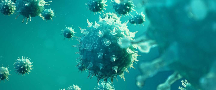 Salgın vakaları tavan yaptı, o ülke harekete geçti - Resim: 2