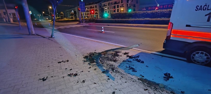 Ağaca çarpan motosikletteki iki kişi ölümden döndü - Resim : 1