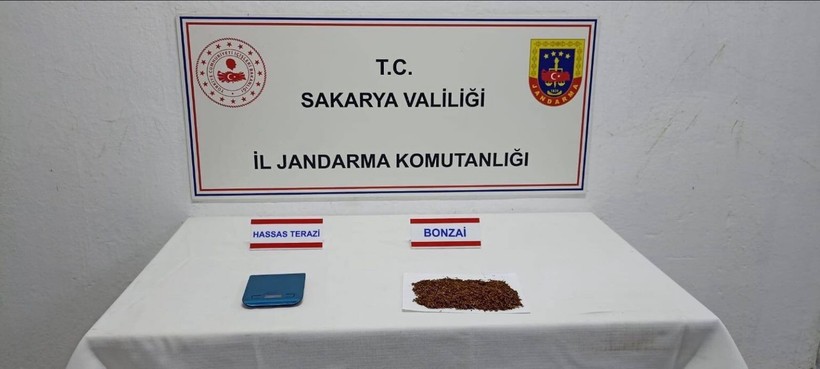 Sakarya'da uyuşturucu operasyonu: 17 gözaltı - Resim : 1