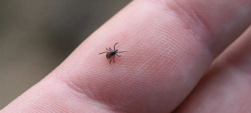 Vakalar fırladı... Binlerce kişi etkilendi! - Resim: 4