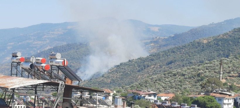 Merak ediliyor... Ormanları kim yaktı? - Resim: 6
